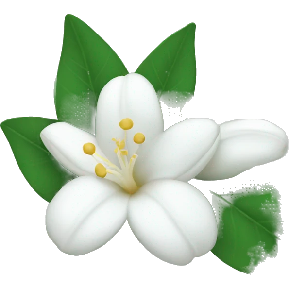 Jasmine flower emoji