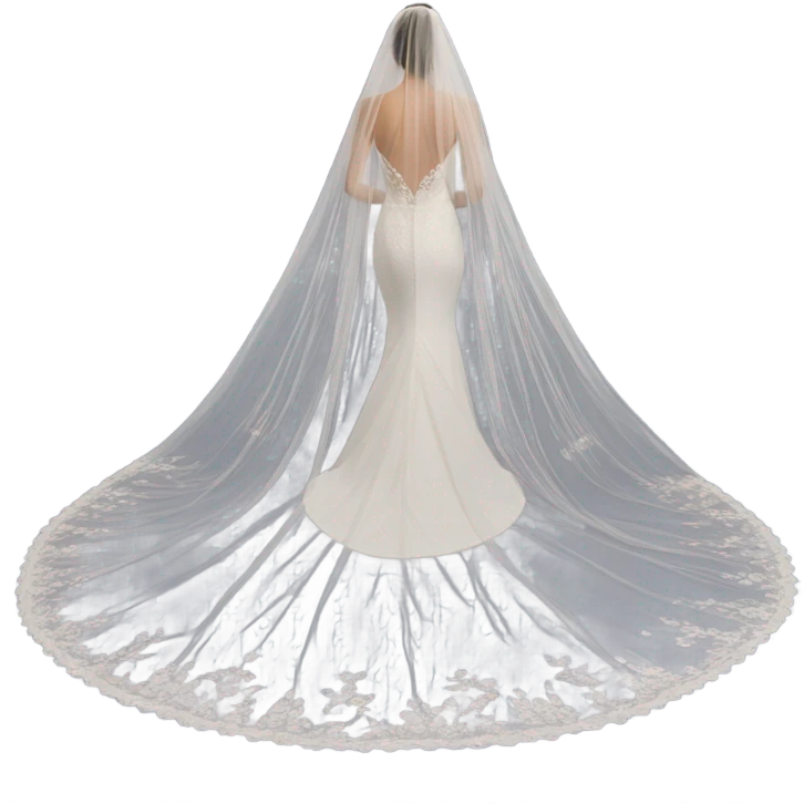 Wedding vail  emoji