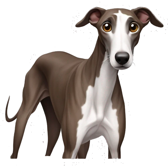 galgo marrón oscuro sin manchas blancas  emoji