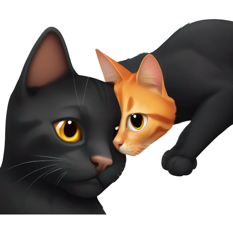 Orange cat and black cat friends emoji