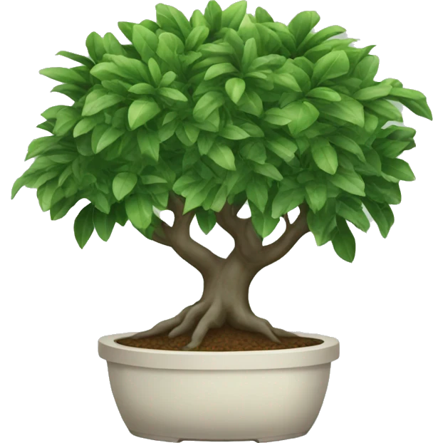 Ficus emoji