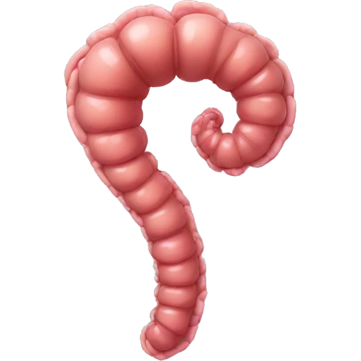 intestine emoji