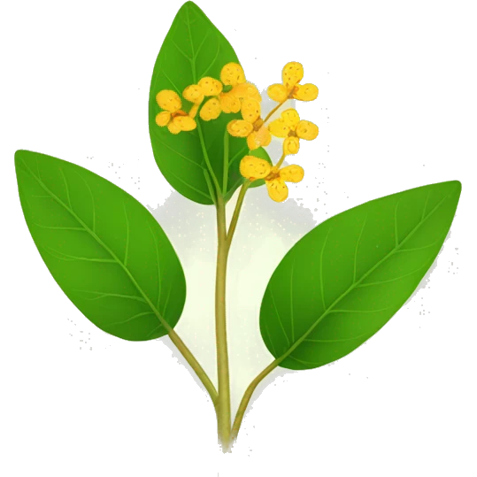 Ginseng indien plant leaf flower emoji