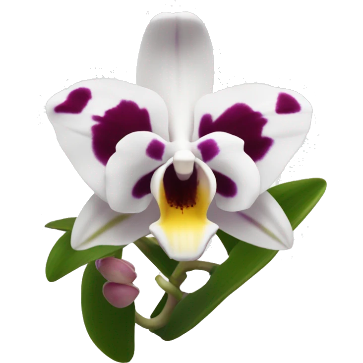 Orquídea blanca  emoji