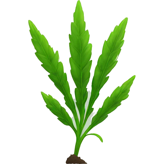 Weed plant emoji