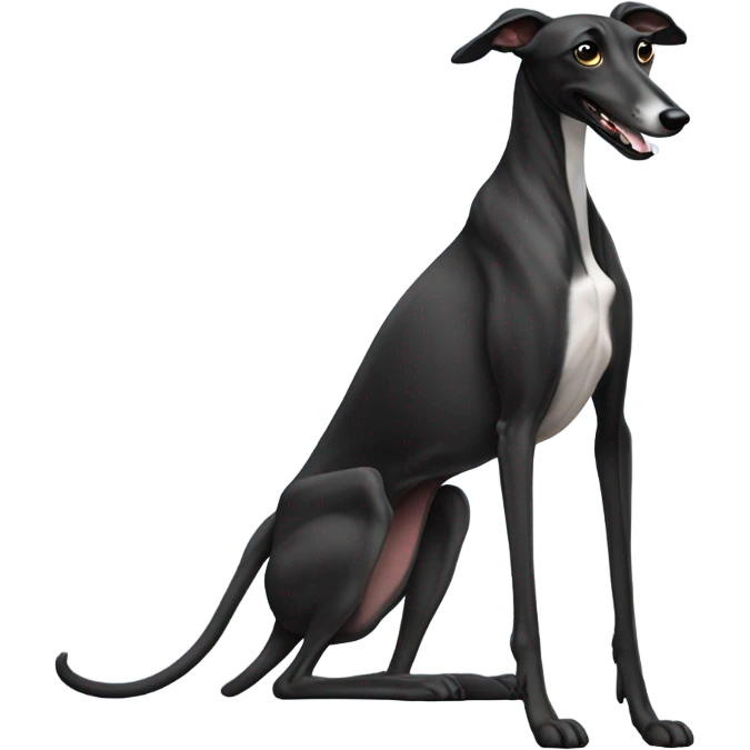 Black greyhound sleeping on back  emoji