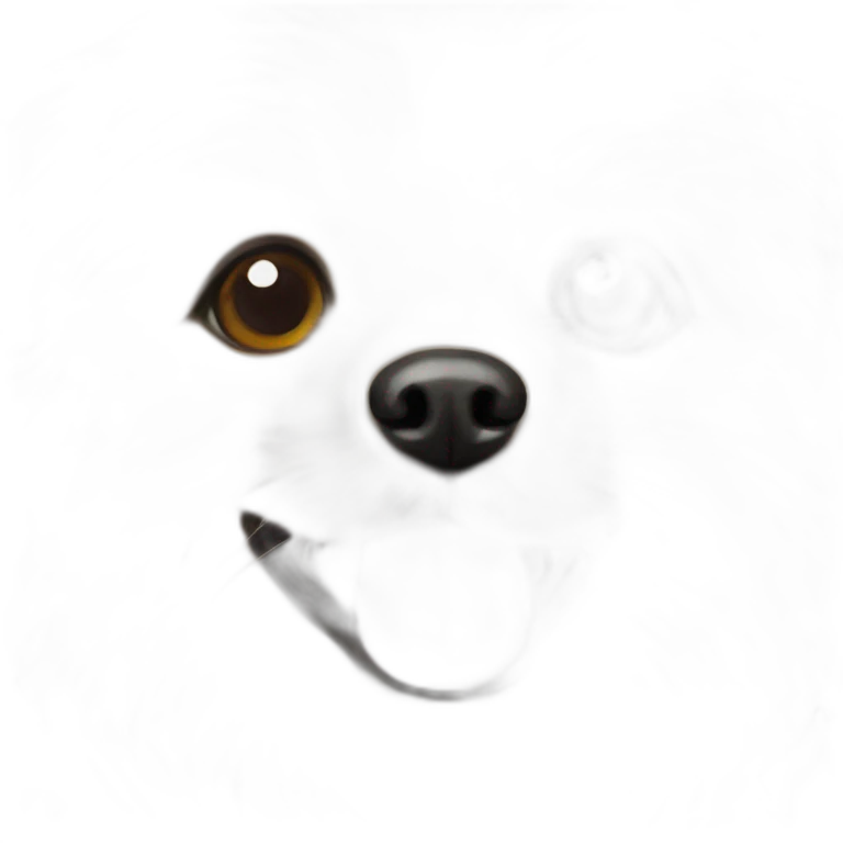 pomeranian-toypoodle-mix emoji
