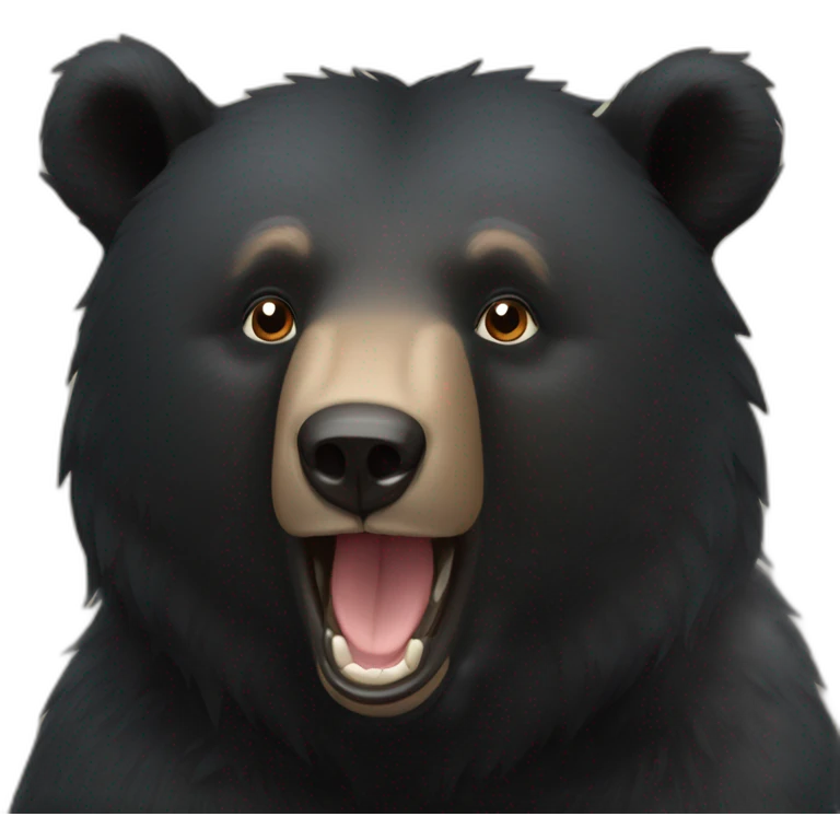 Black bear  emoji