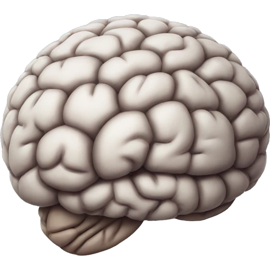 brain with no wrinkles emoji