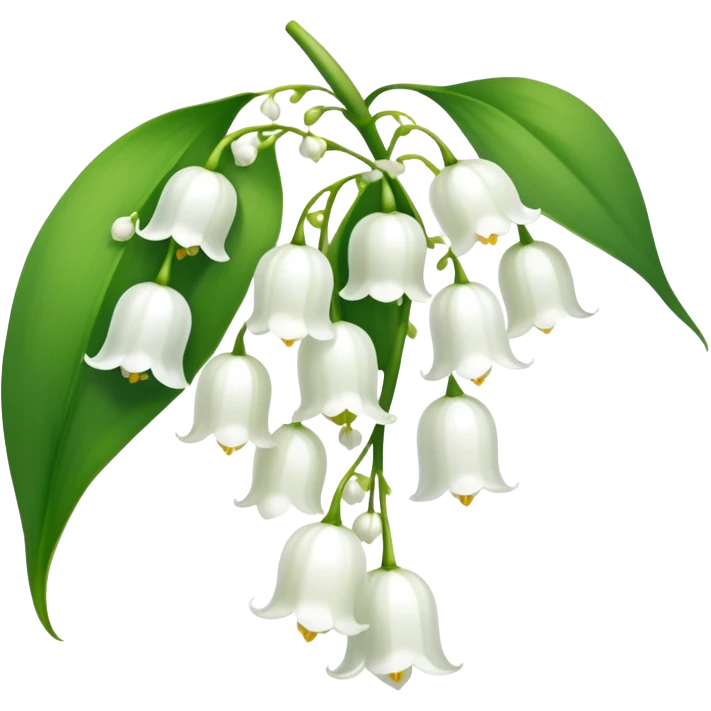 Elegant lily of the valley flower with delicate white bell-shaped blooms hanging from green stem and bright green leaves emoji