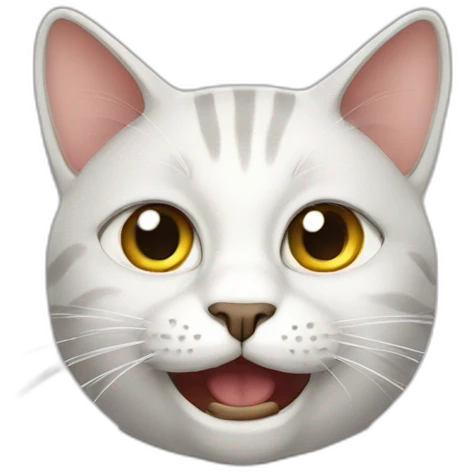 Humour cat emoji