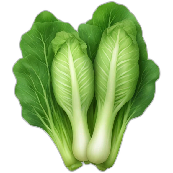 Bok Choi emoji