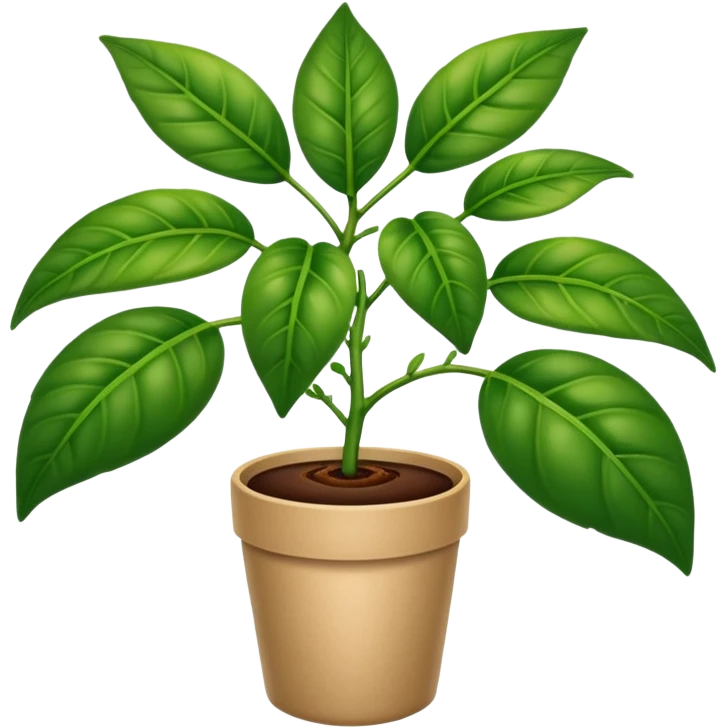 mata de cafe  emoji