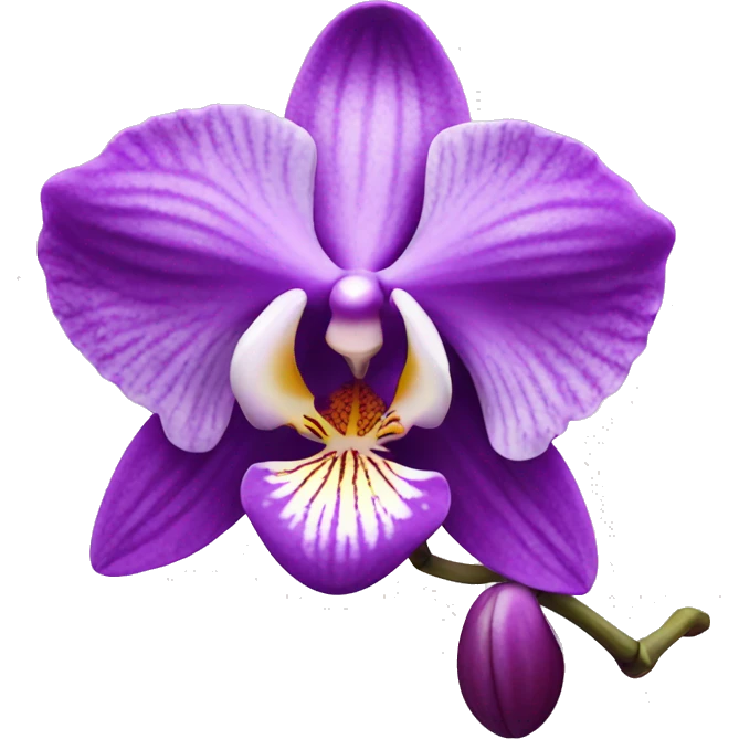 orchid  emoji