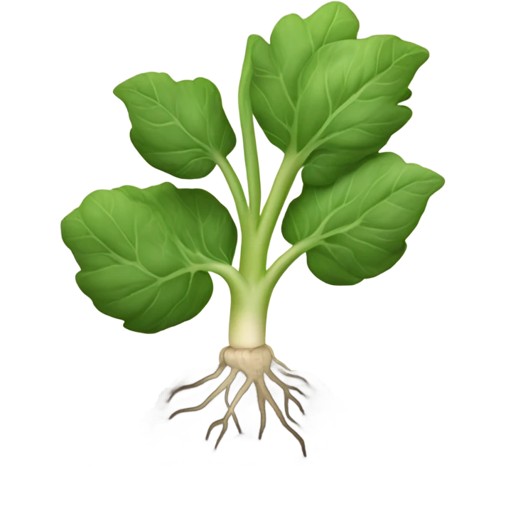 Celeriac plant emoji