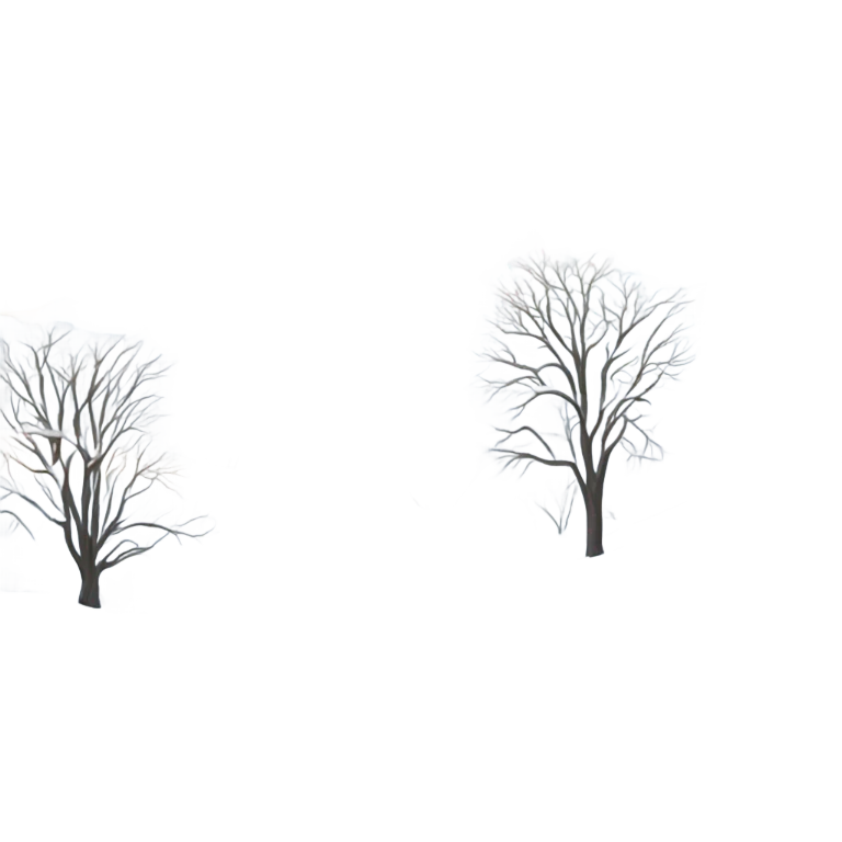 Winter  emoji