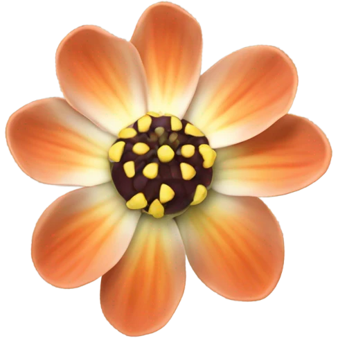 coquina flower emoji