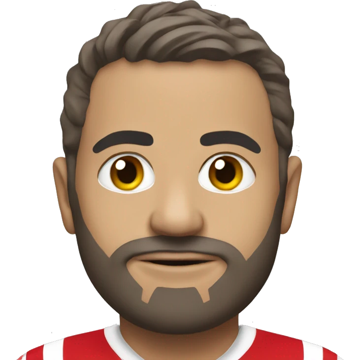 Bristol city emoji