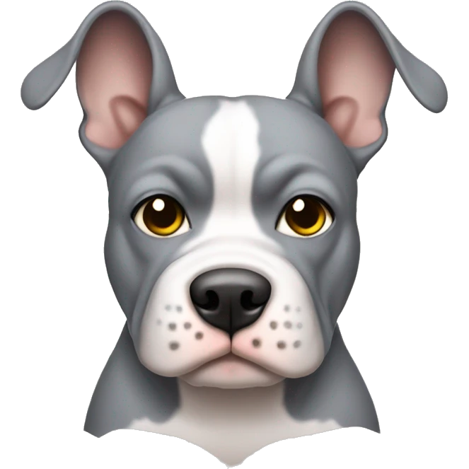 grey pocket bully with ears flappy emoji