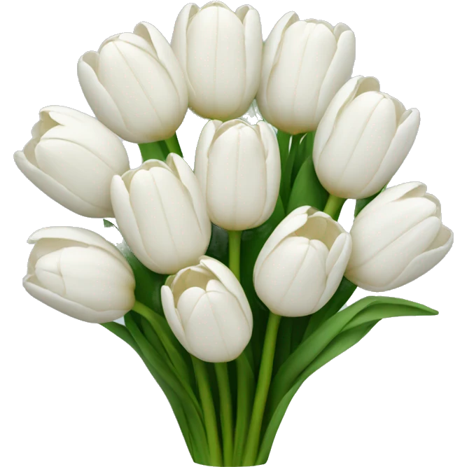white bouquet of tulips emoji