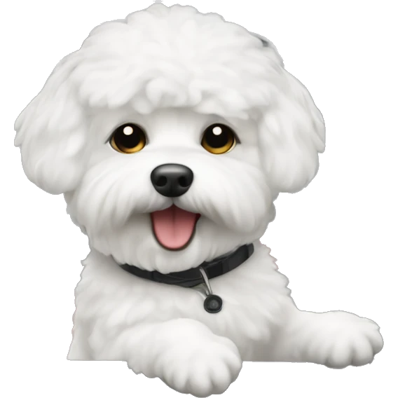 bichon bolognese driving a car emoji