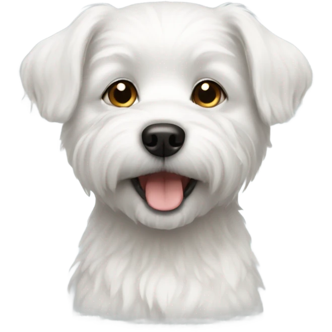 Small white dog emoji