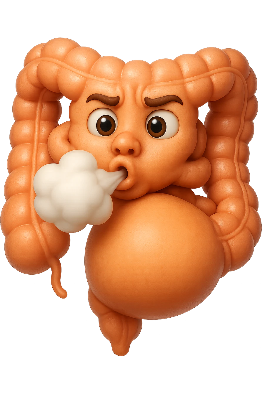 emoji stile iphone di un intestino che ingoia una nuvoletta di aria ben visibile e gli si gonfia la pancia, non fargli il naso, iperrealistico 4k emoji
