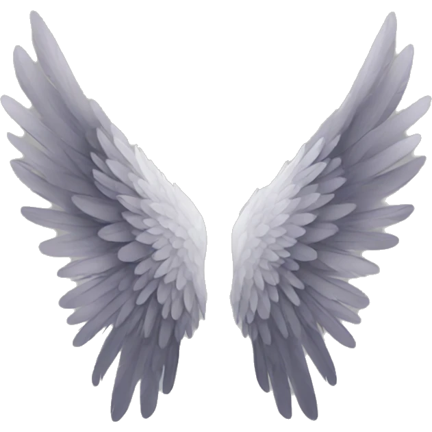 A pair of wings emoji