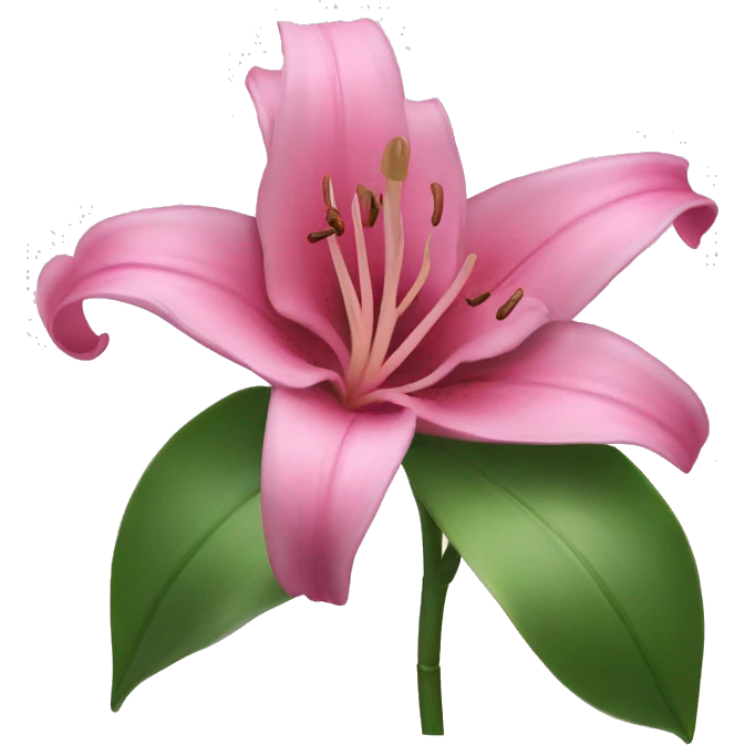 pink lilly flower  emoji