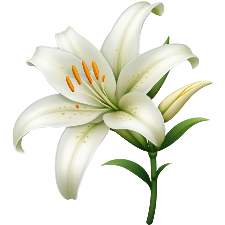 white lily emoji