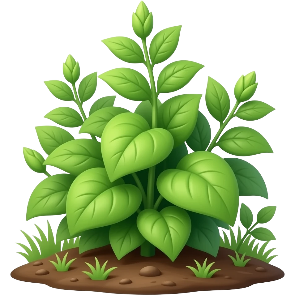 green plant from the ground with leafs And flowers budding emoji