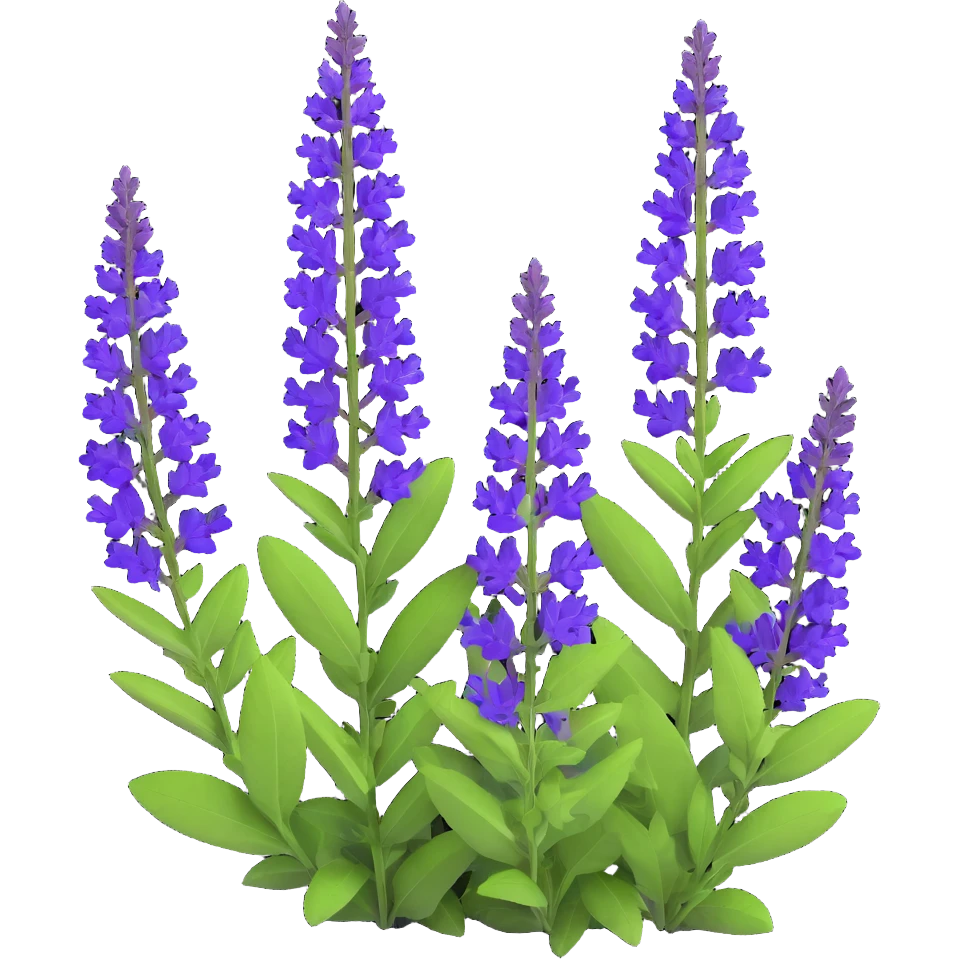 3D iOS cartoon style illustration of Salvia nemorosa with bright purple flowers, rich green leaves, expressive shadows and light accents, cartoon style, volumetric, transparent background emoji