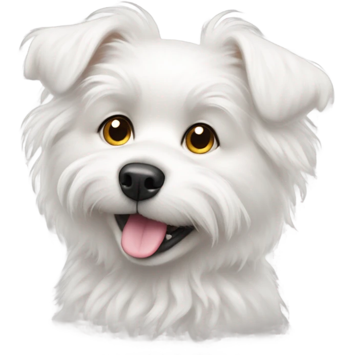 White doc emoji