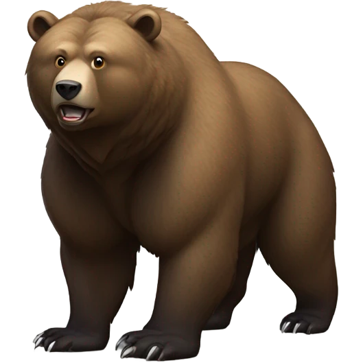 bear emoji