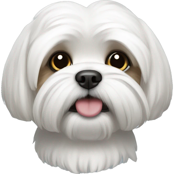 Shi tzu white  emoji