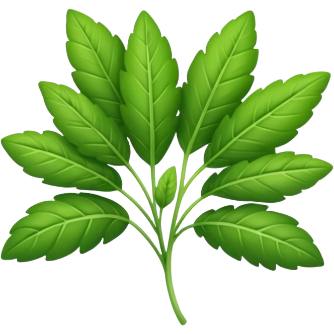 fresh green herb emoji