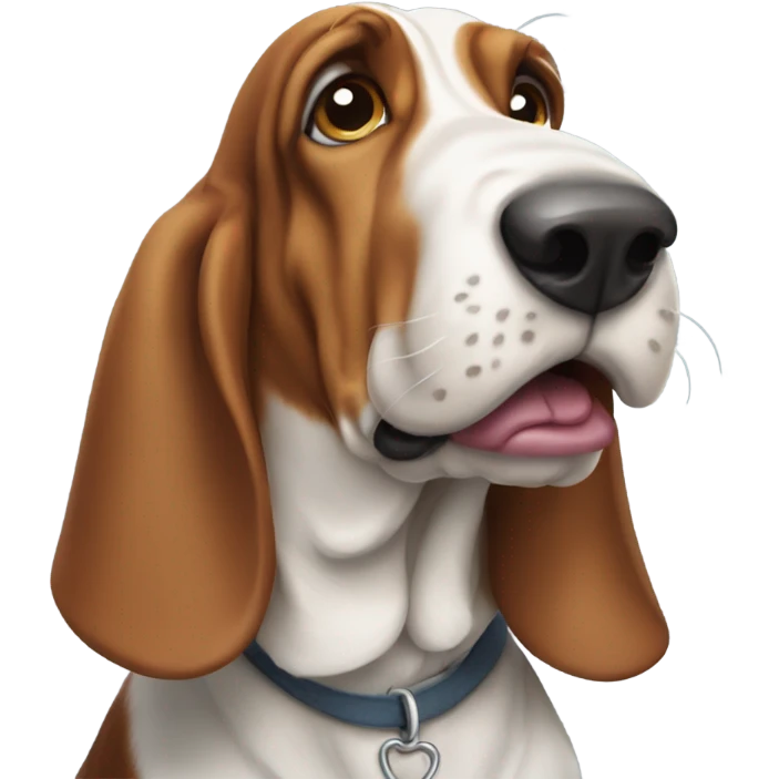 Basset hound emoji
