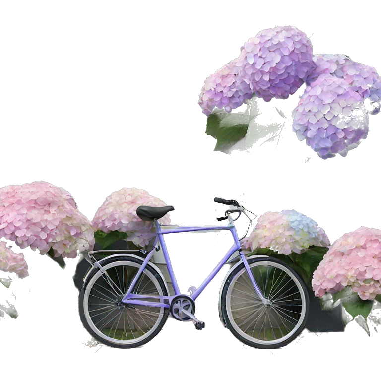 hydrangea in front of gray house with bike emoji