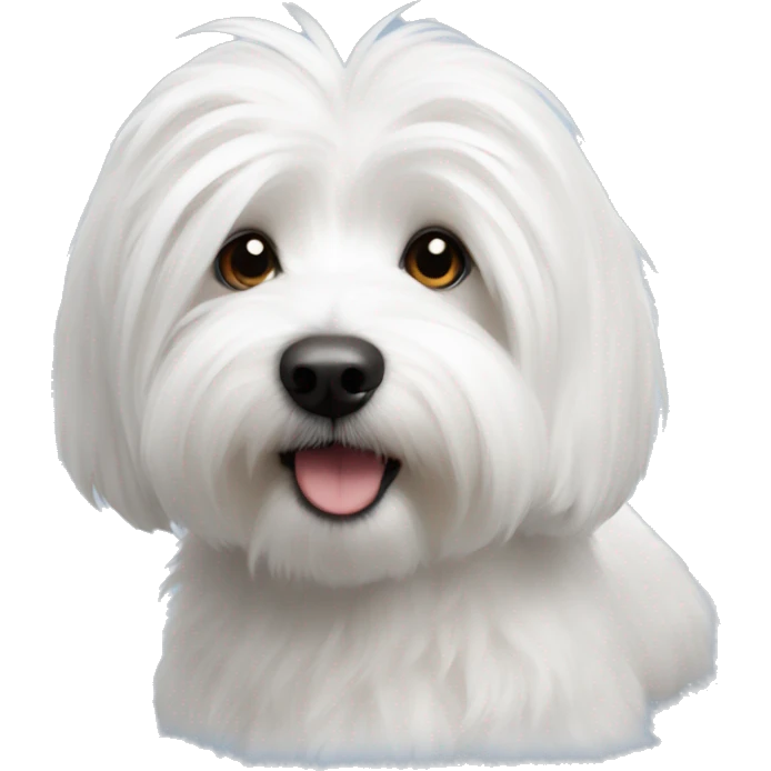 coton de tulear  emoji