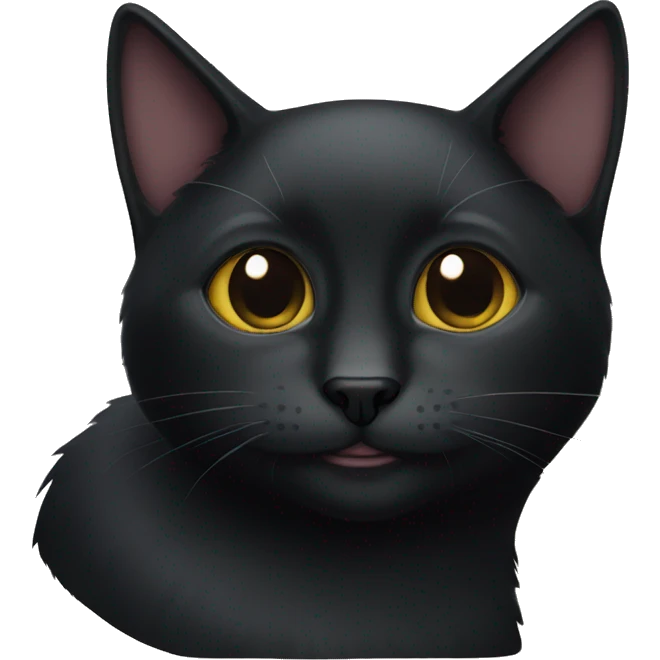 a black cat emoji