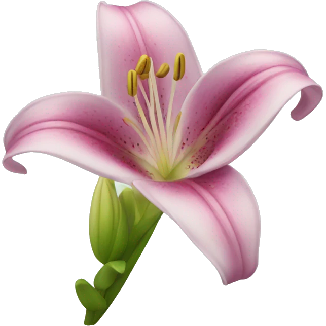 lily flower emoji
