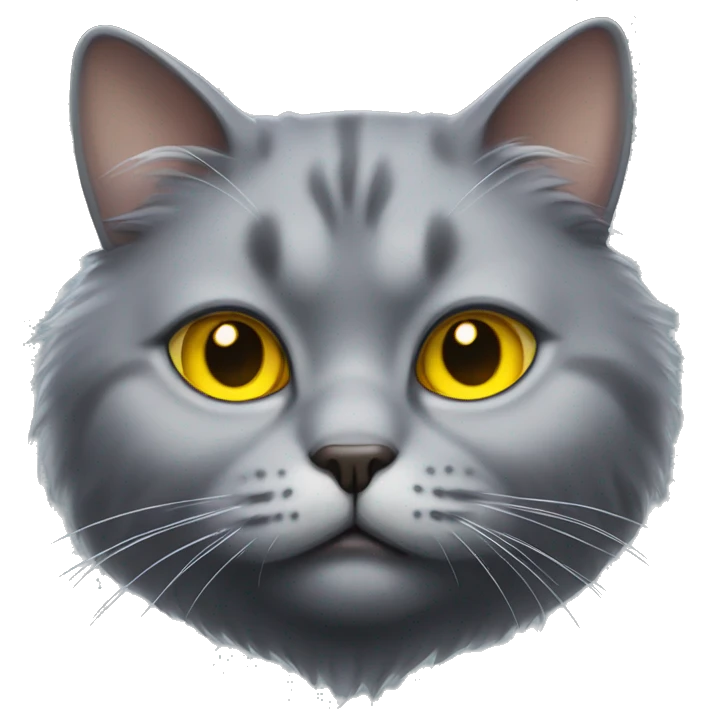 realistic fat grey fluffy cat with yellow eyes emoji