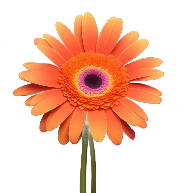 gerbera flowers emoji
