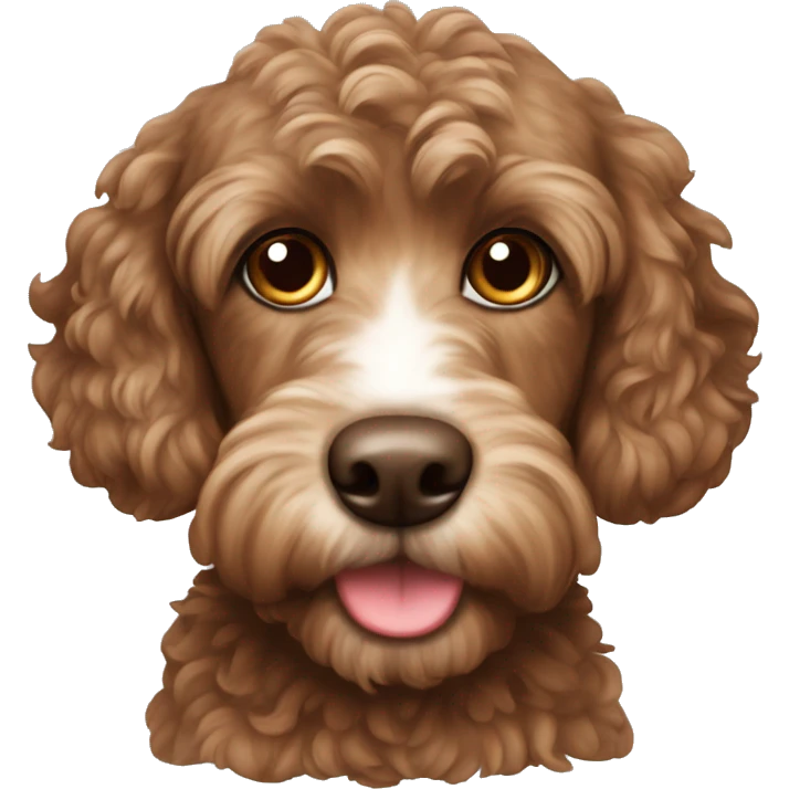 Brown cockapoo  emoji