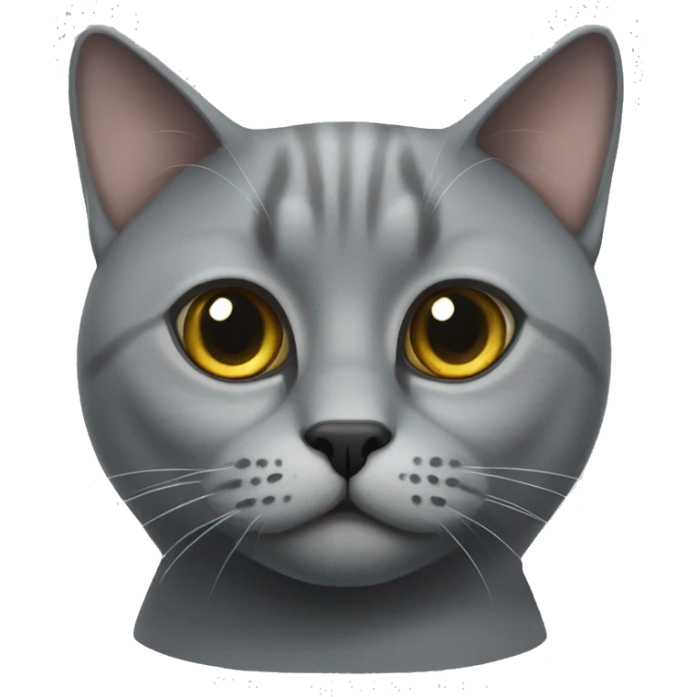 Grey British cat, with round eyes emoji