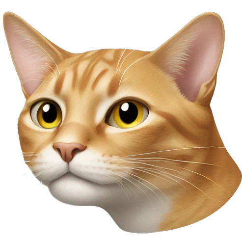 Cat wearing Nike  emoji