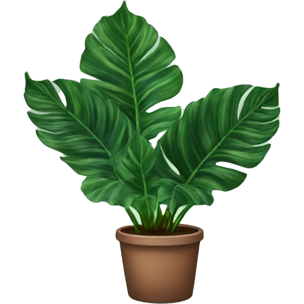 calathea orbifolia house plant emoji