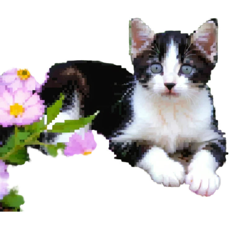 Kitten lying in flowers emoji