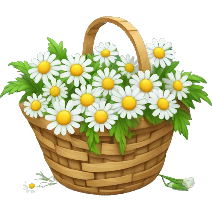 Basket with chamomiles emoji
