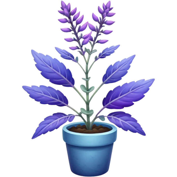 clary sage plant, purple and blue tones, no planter emoji
